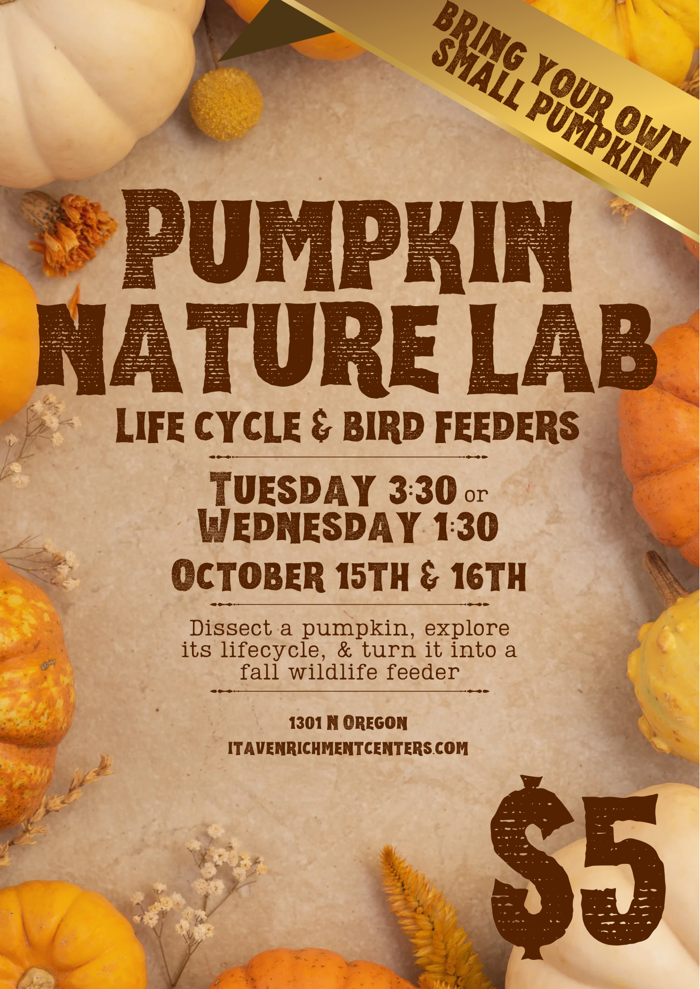 Pumpkin Nature Class: Life Cycles