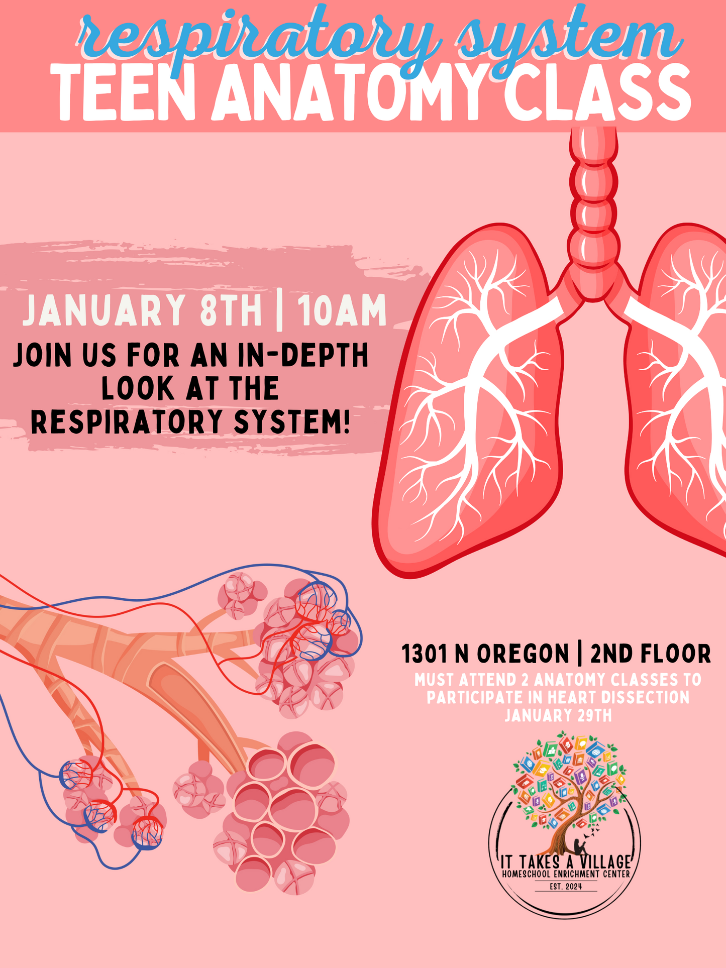 Teen Anatomy Class ~ Respiratory System