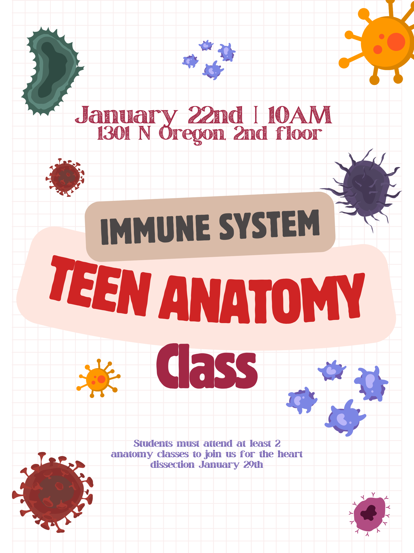 Teen Anatomy Class ~ Immune System