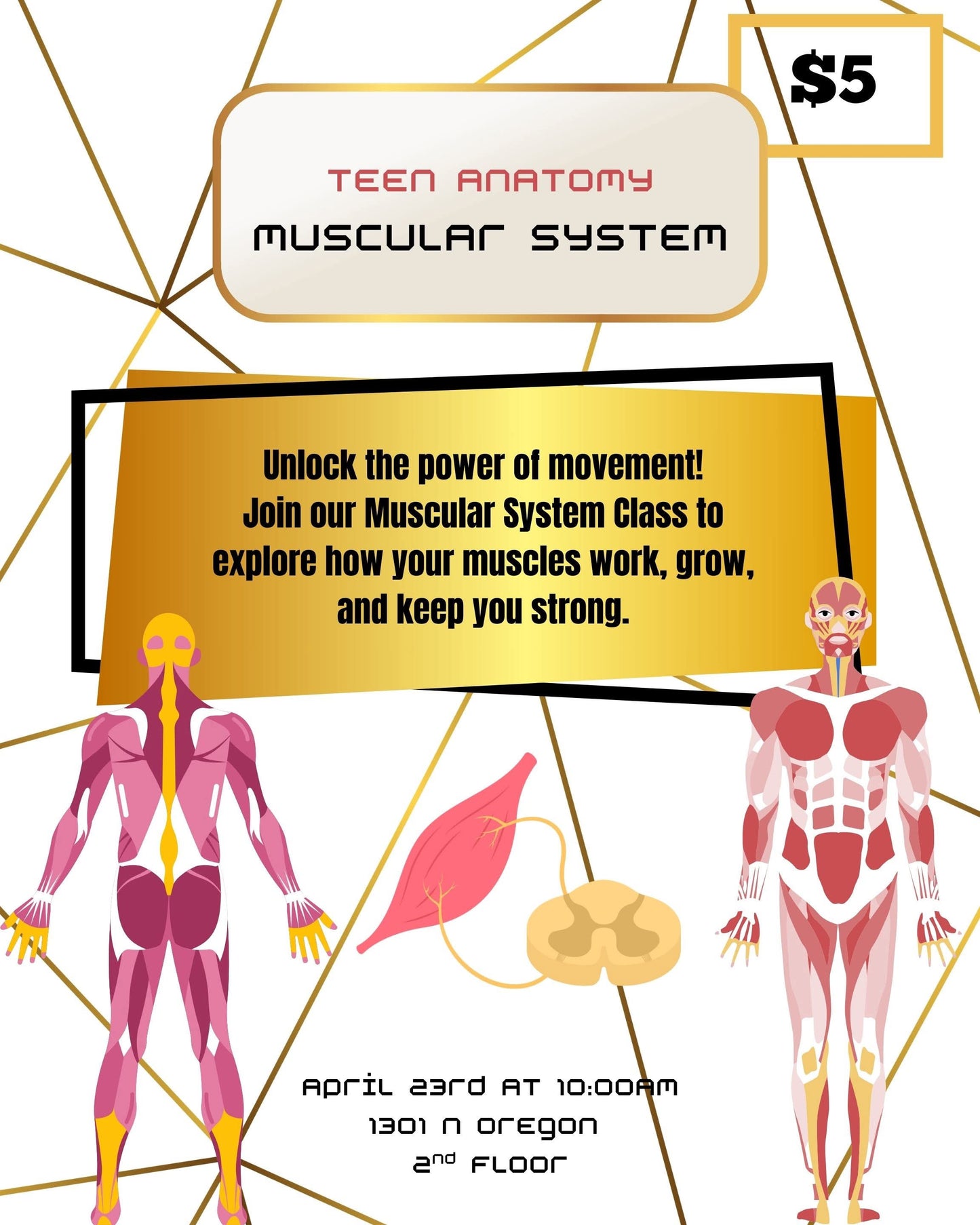 Teen Anatomy - 4/23