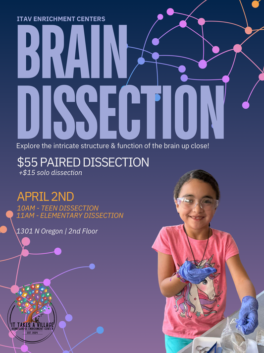 Brain Dissection - DEADLINE 3/14