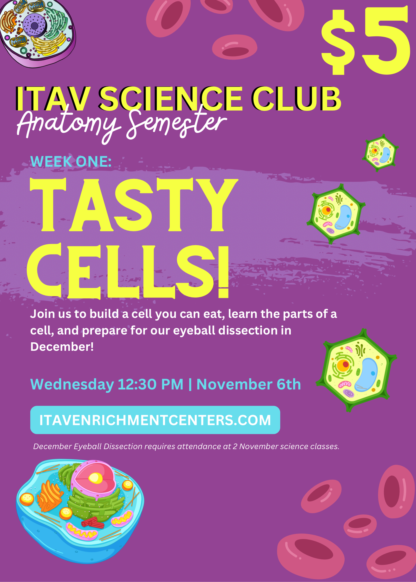 Tasty Cells! Elementary Anatomy Class