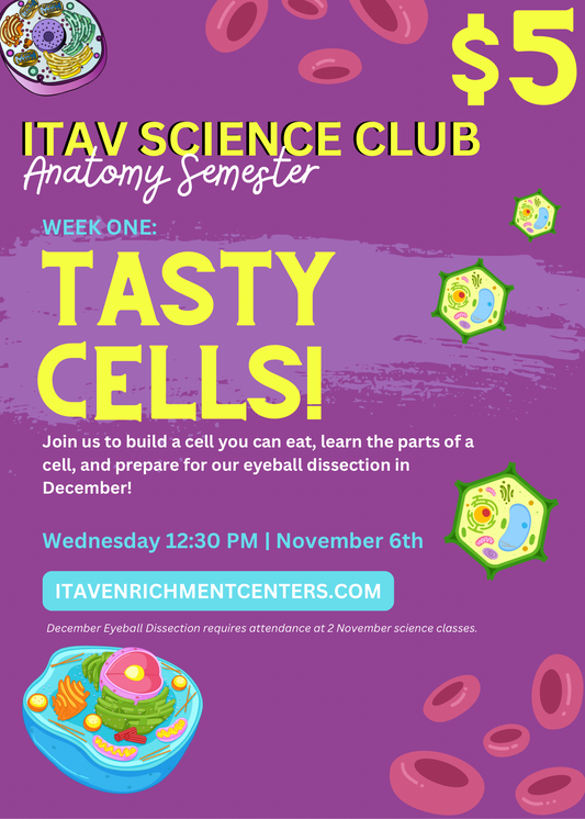 Tasty Cells! Elementary Anatomy Class