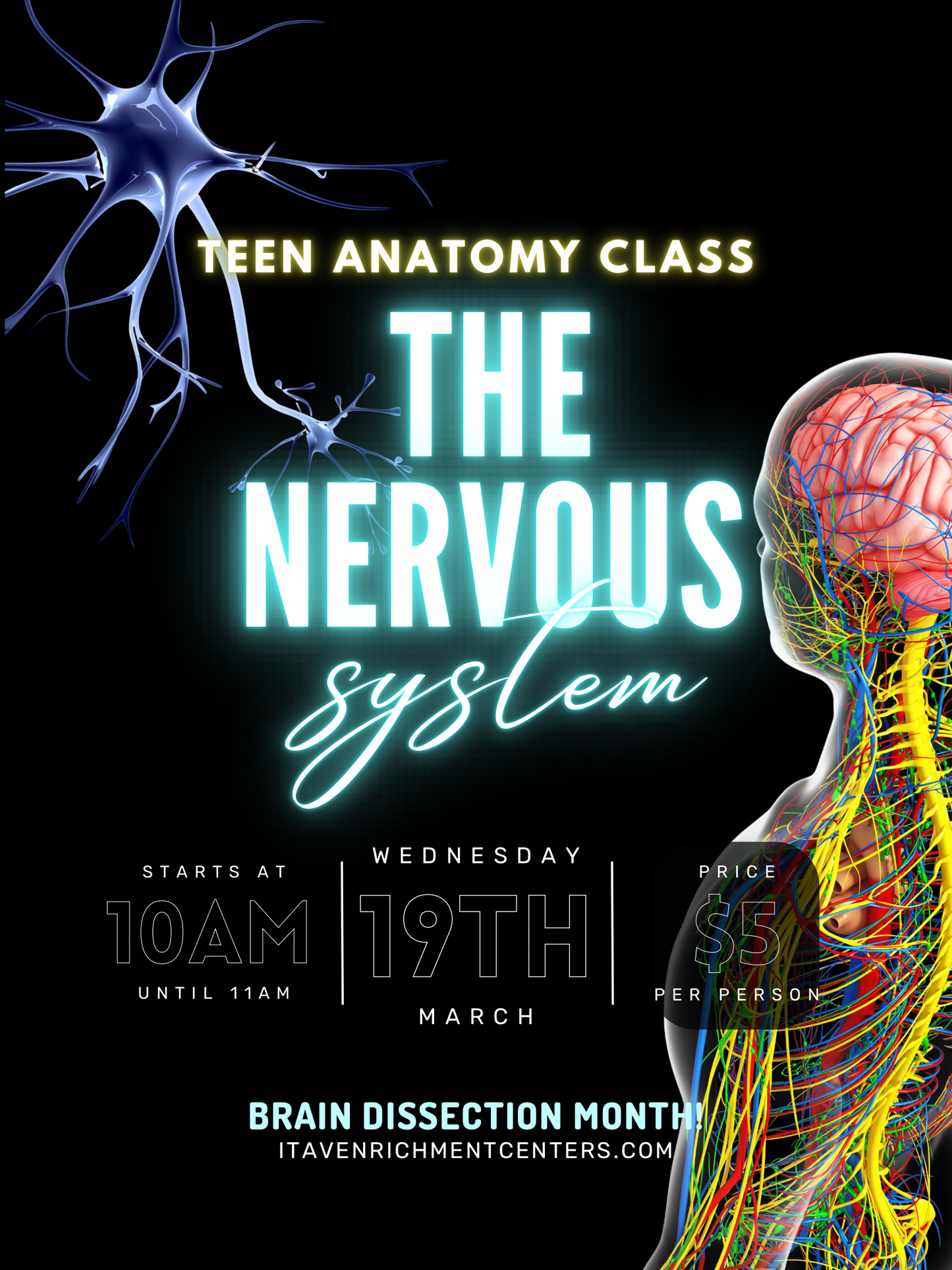 Teen Anatomy Class - 3/19