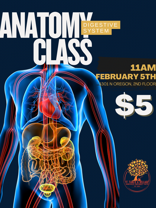 Anatomy Class - 2/5