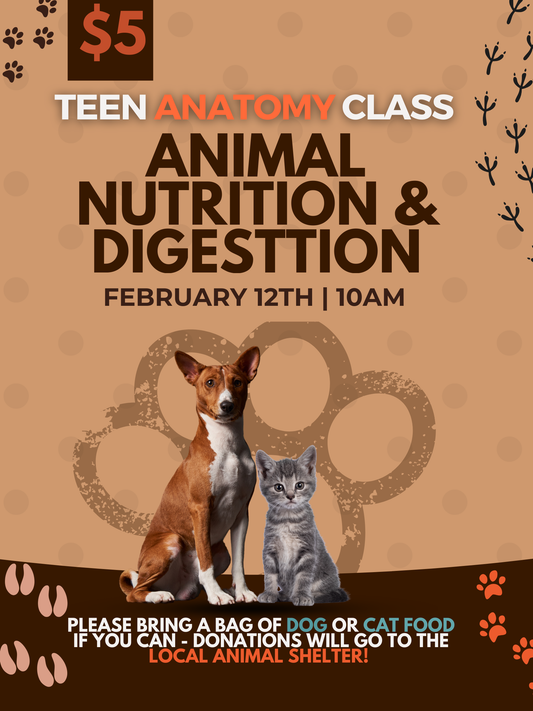 Teen Anatomy Class - 2/12