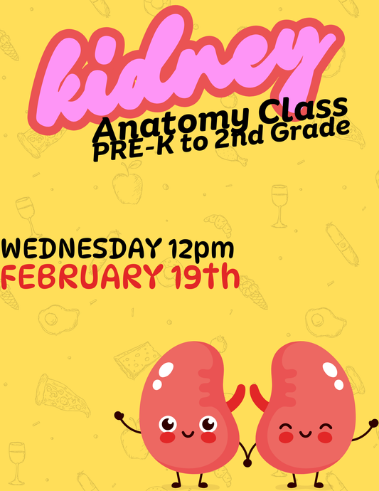 Anatomy Class - 2/19 - Pre K to 2nd