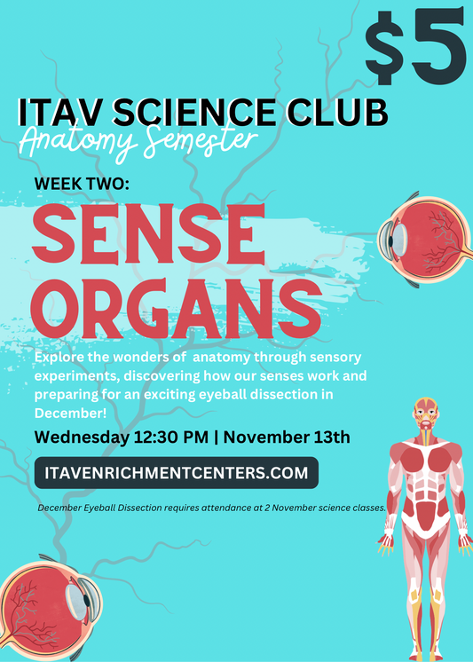 Elementary Anatomy Week Two: Sense Organs