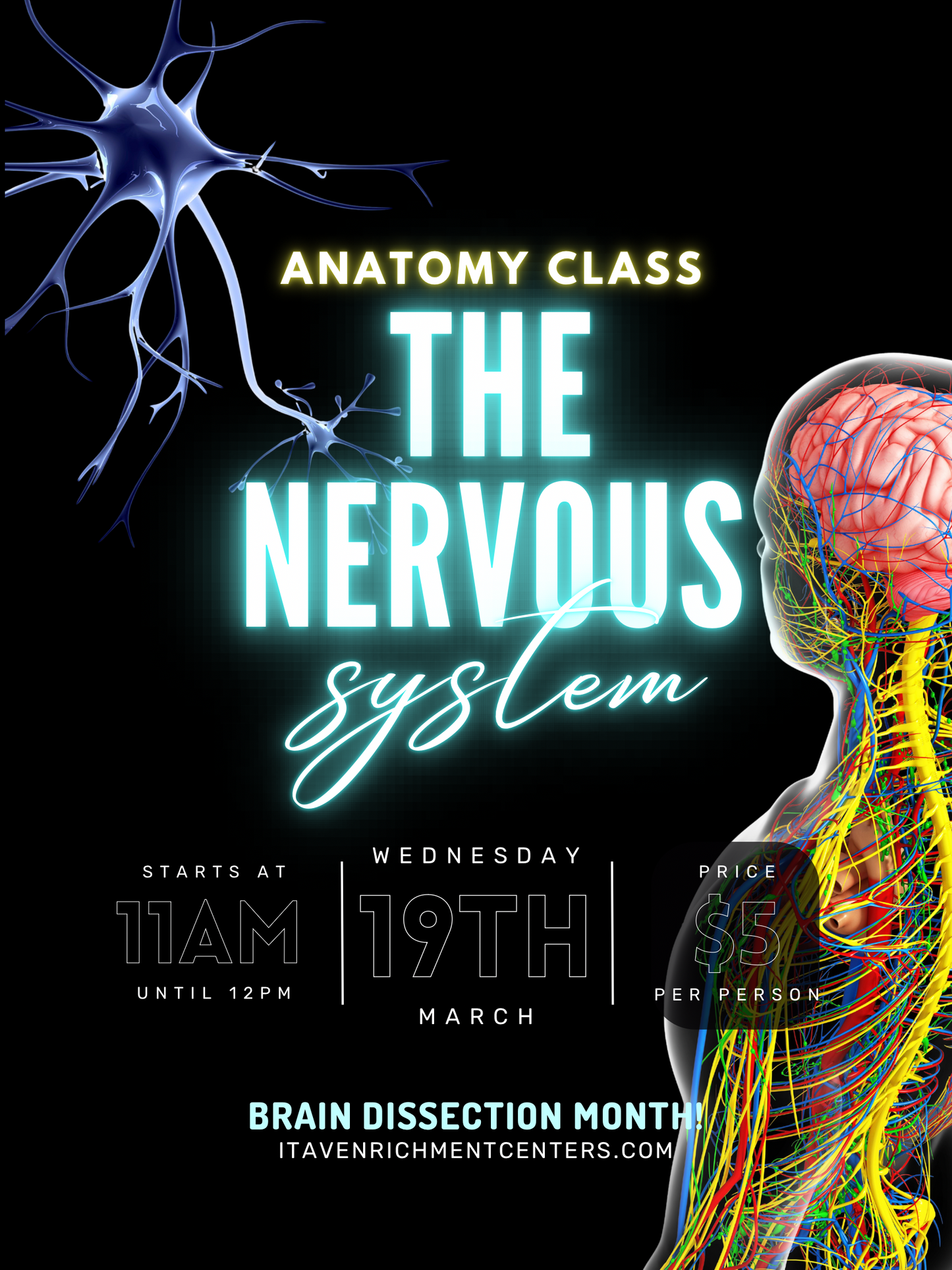 Anatomy Class - 3/19