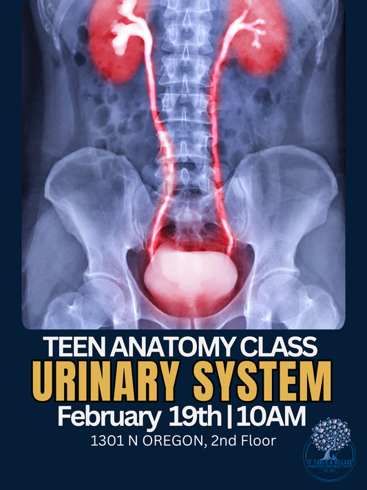 Teen Anatomy - 2/19