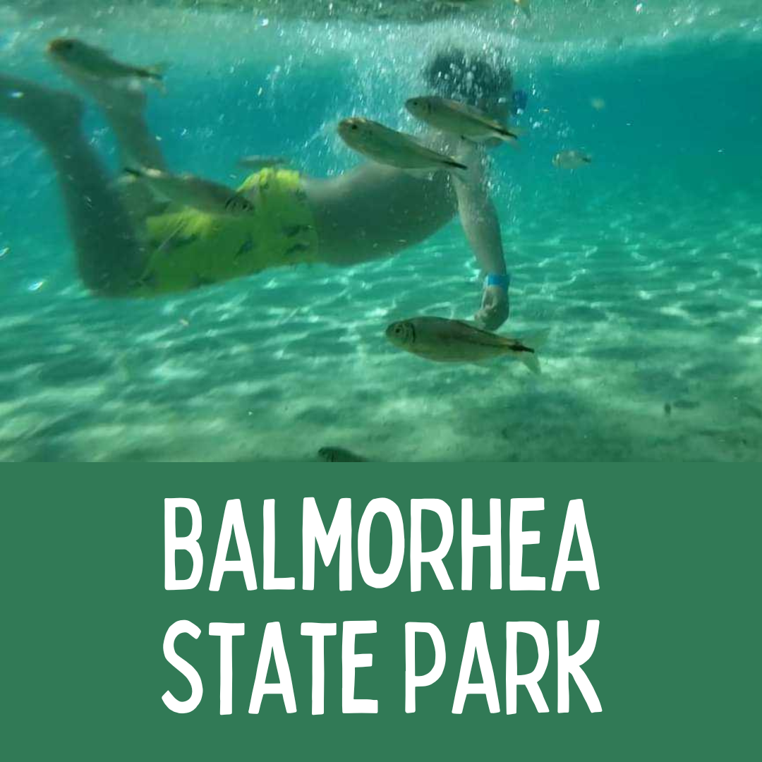 June 2024 - Balmorhea State Park