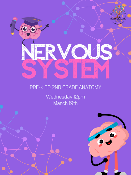 Early Elementary Anatomy - 3/19