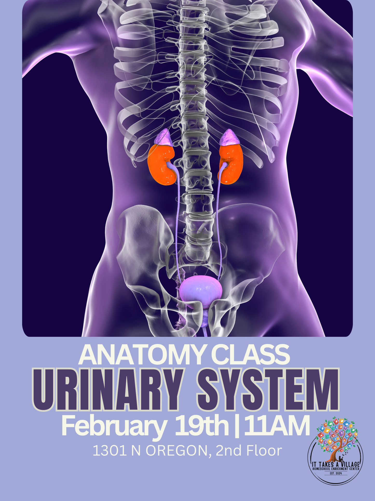 Anatomy Class - 2/19