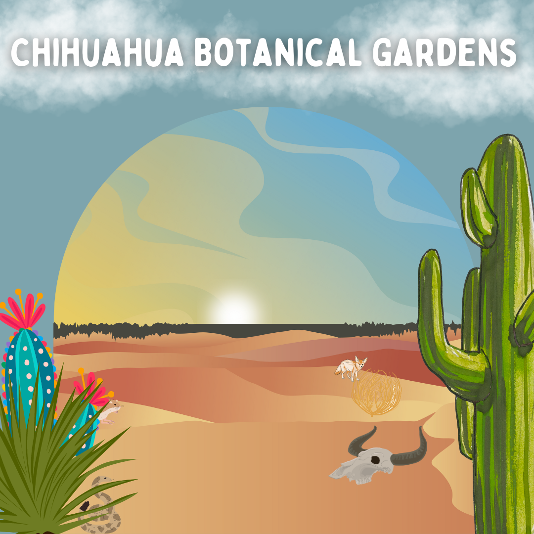 June 2024 - Chihuahuan Botanical Garden & Nature Center Tour