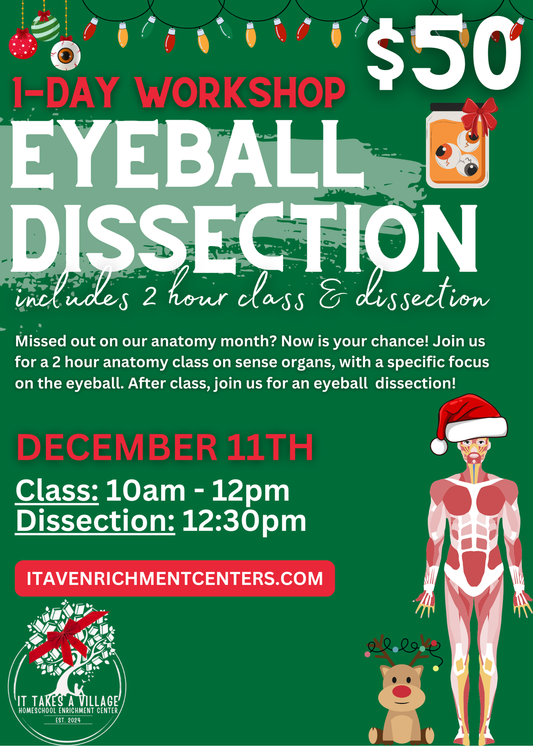 ONE DAY WORKSHOP ~ Eyeball Dissection & Workshop