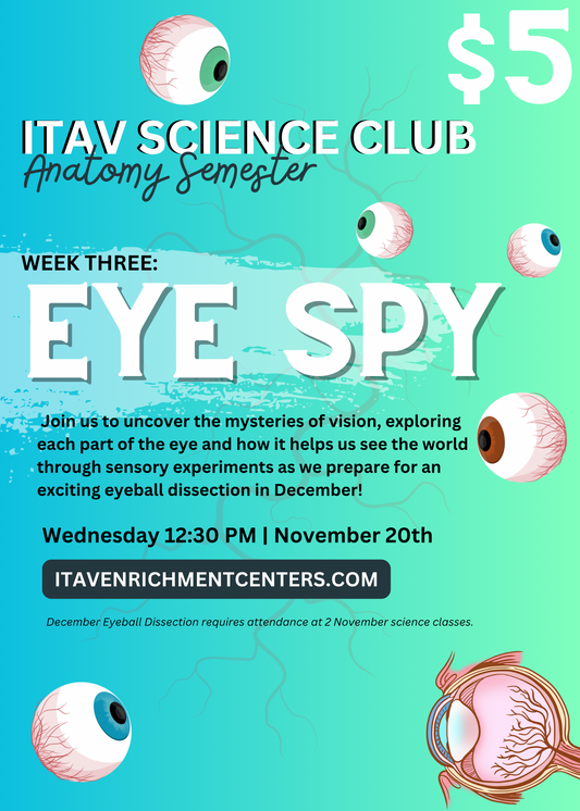 Elementary Anatomy Week 3: Eye Spy