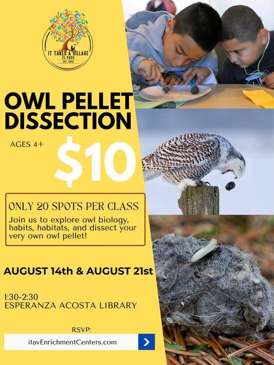 Owl Pellet Dissection Class